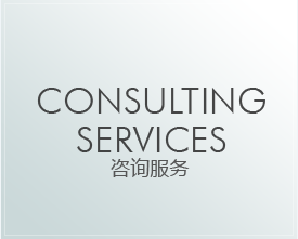 consulting services